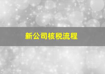 新公司核税流程