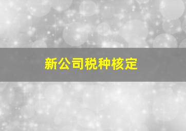 新公司税种核定