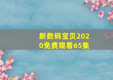 新数码宝贝2020免费观看65集