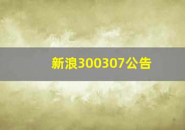 新浪300307公告