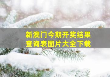 新澳门今期开奖结果查询表图片大全下载