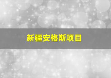 新疆安格斯项目