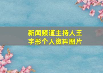 新闻频道主持人王宇彤个人资料图片