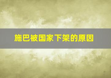 施巴被国家下架的原因