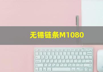 无锡链条M1080