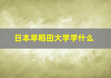 日本早稻田大学学什么