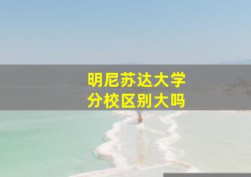 明尼苏达大学分校区别大吗