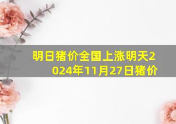 明日猪价全国上涨明天2024年11月27日猪价