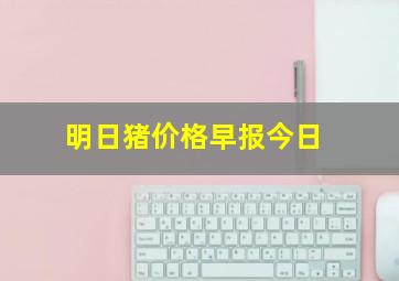 明日猪价格早报今日