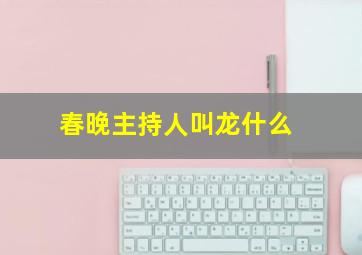 春晚主持人叫龙什么