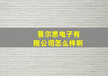 普尔思电子有限公司怎么样啊