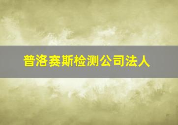 普洛赛斯检测公司法人