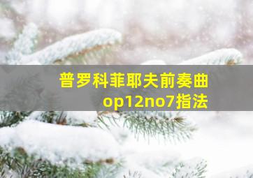 普罗科菲耶夫前奏曲op12no7指法