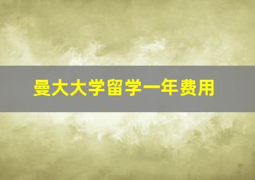 曼大大学留学一年费用