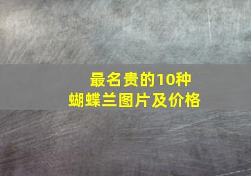 最名贵的10种蝴蝶兰图片及价格