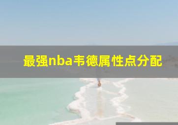 最强nba韦德属性点分配