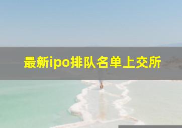 最新ipo排队名单上交所