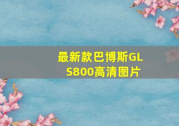 最新款巴博斯GLS800高清图片