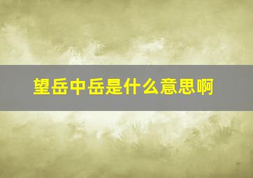 望岳中岳是什么意思啊