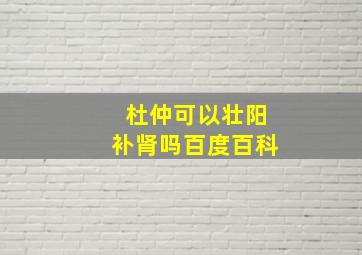 杜仲可以壮阳补肾吗百度百科