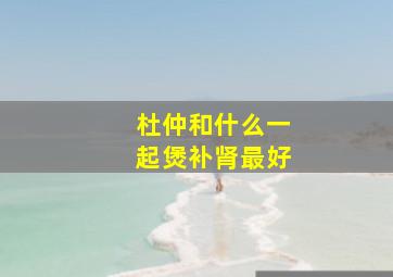 杜仲和什么一起煲补肾最好