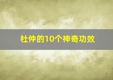 杜仲的10个神奇功效