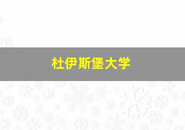 杜伊斯堡大学