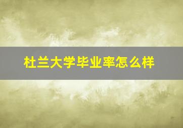 杜兰大学毕业率怎么样