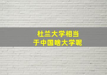 杜兰大学相当于中国啥大学呢