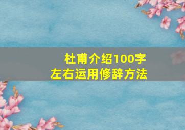 杜甫介绍100字左右运用修辞方法