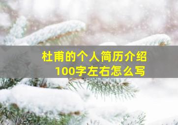 杜甫的个人简历介绍100字左右怎么写