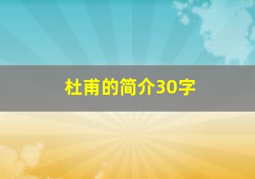 杜甫的简介30字