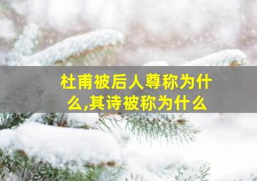 杜甫被后人尊称为什么,其诗被称为什么