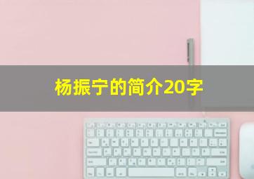 杨振宁的简介20字