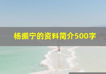 杨振宁的资料简介500字