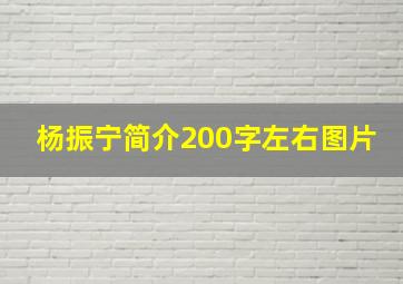 杨振宁简介200字左右图片