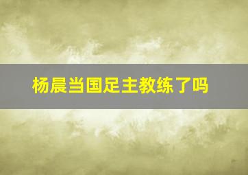 杨晨当国足主教练了吗