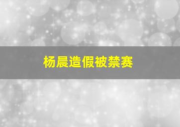 杨晨造假被禁赛