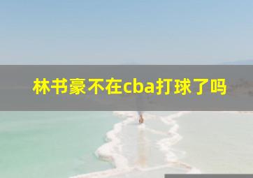 林书豪不在cba打球了吗