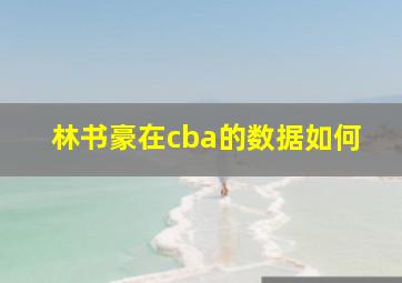 林书豪在cba的数据如何