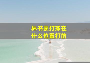 林书豪打球在什么位置打的