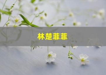 林楚菲菲