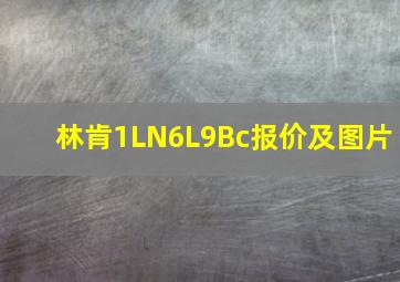 林肯1LN6L9Bc报价及图片