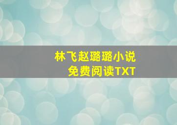 林飞赵璐璐小说免费阅读TXT