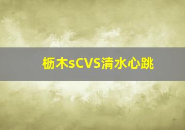 枥木sCVS清水心跳