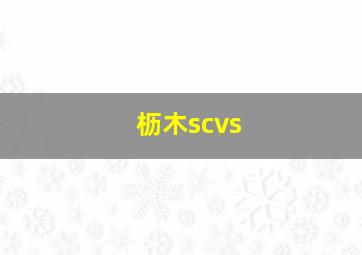 枥木scvs