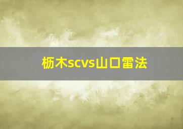 枥木scvs山口雷法