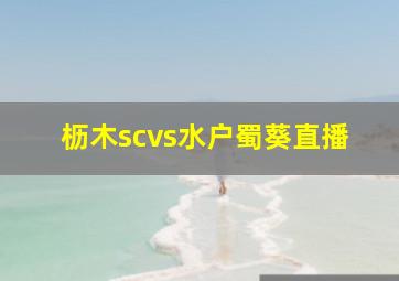 枥木scvs水户蜀葵直播