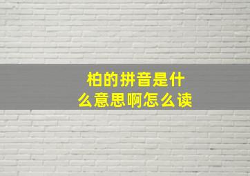 柏的拼音是什么意思啊怎么读