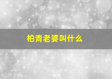 柏青老婆叫什么